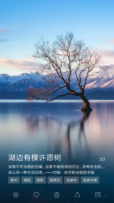 湖边有棵许愿树