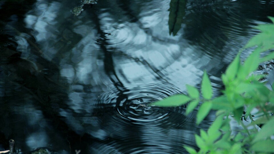 雨天