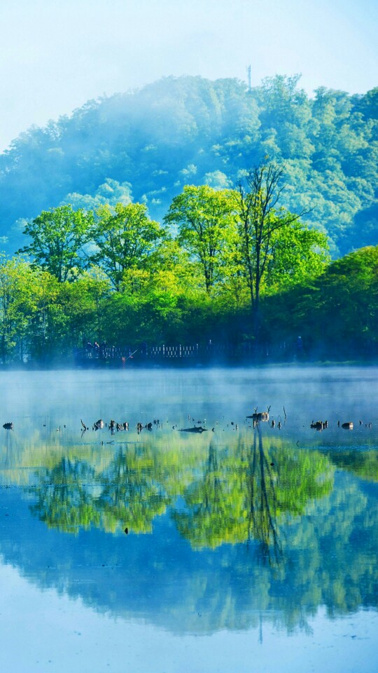 『宁静』『意境』
湖面