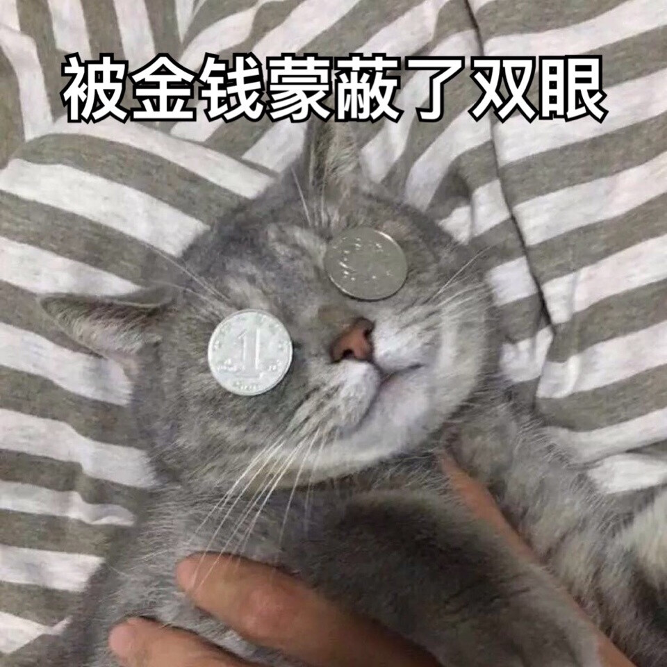 貓，表情包，被金錢蒙蔽了雙眼