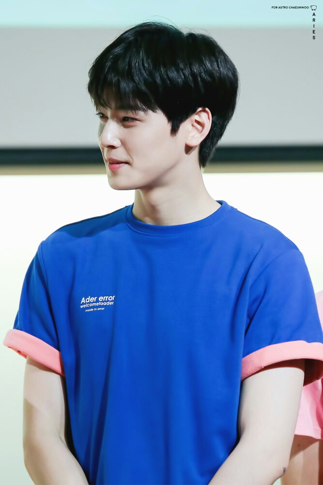 の少女 astro成员 车银优