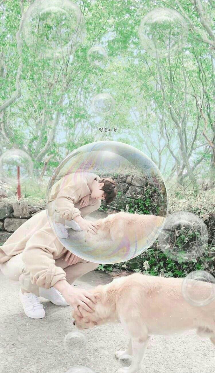 exo朴灿烈高清壁纸