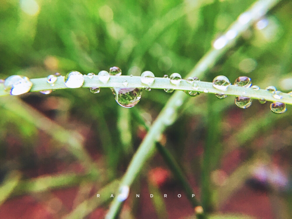 雨后