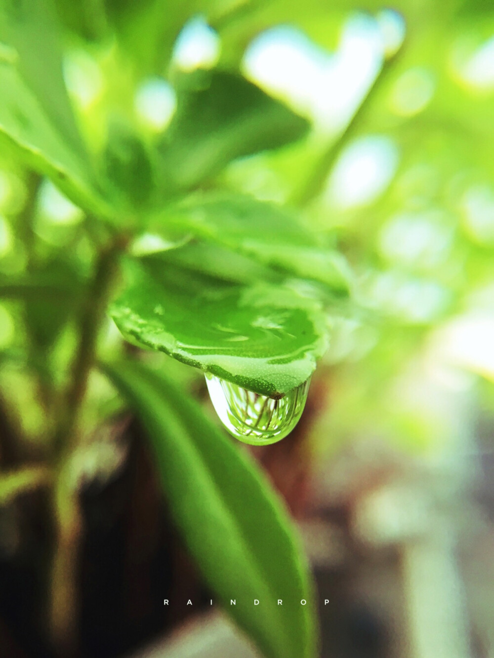 雨后