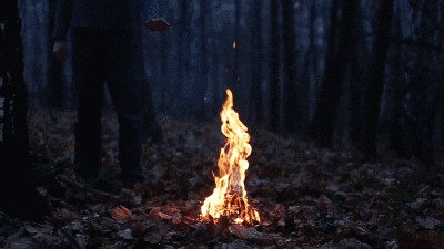 林中篝火