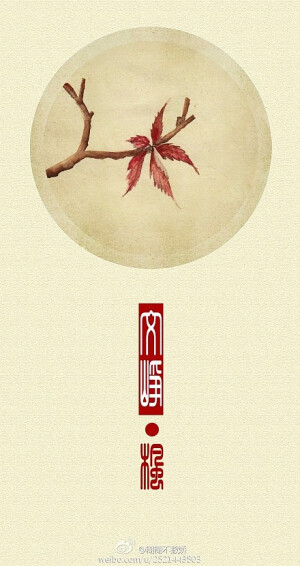 美