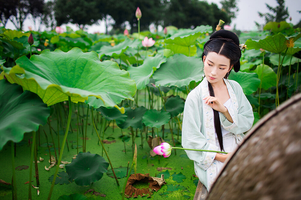 【 汉服摄影' 东边云 】〔 惜荷 〕.
荷叶五寸荷花娇，贴波不碍画船摇；相到薰风四五月，也能遮却美人腰。