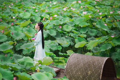 【 汉服摄影' 东边云 】〔 惜荷 〕.
荷叶五寸荷花娇，贴波不碍画船摇；相到薰风四五月，也能遮却美人腰。