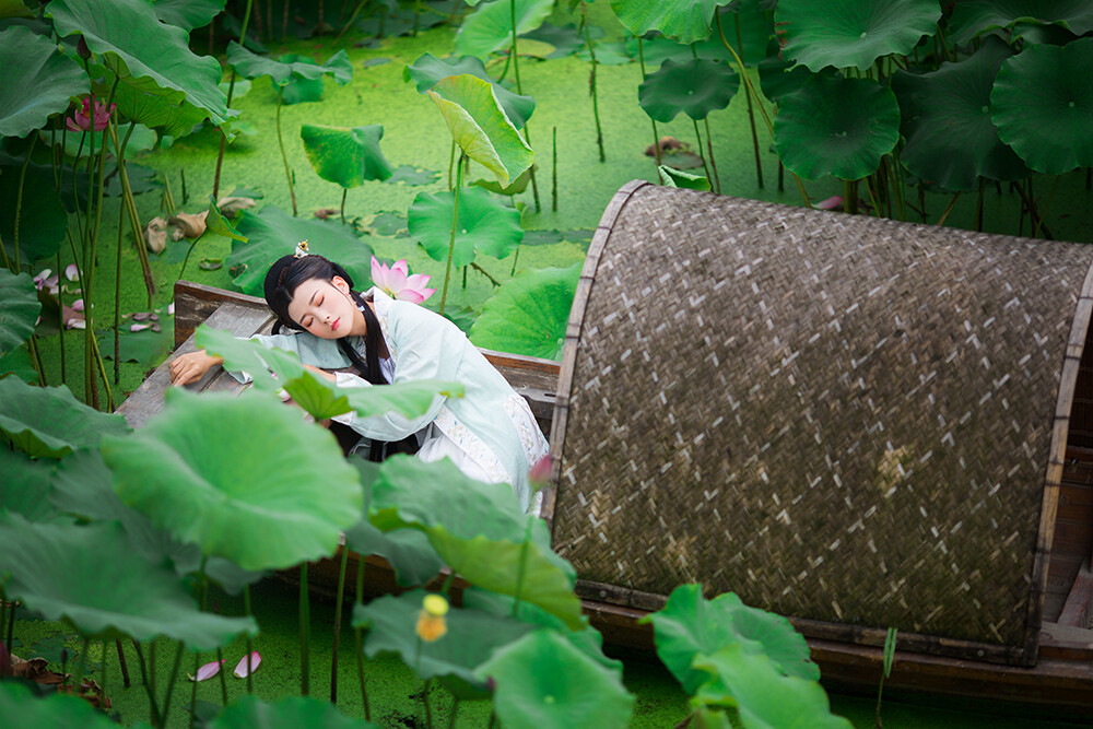 【 汉服摄影' 东边云 】〔 惜荷 〕.
荷叶五寸荷花娇，贴波不碍画船摇；相到薰风四五月，也能遮却美人腰。