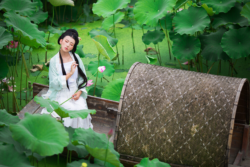 【 汉服摄影' 东边云 】〔 惜荷 〕.
荷叶五寸荷花娇，贴波不碍画船摇；相到薰风四五月，也能遮却美人腰。