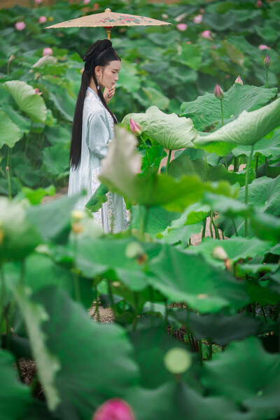 【 汉服摄影' 东边云 】〔 惜荷 〕.
荷叶五寸荷花娇，贴波不碍画船摇；相到薰风四五月，也能遮却美人腰。