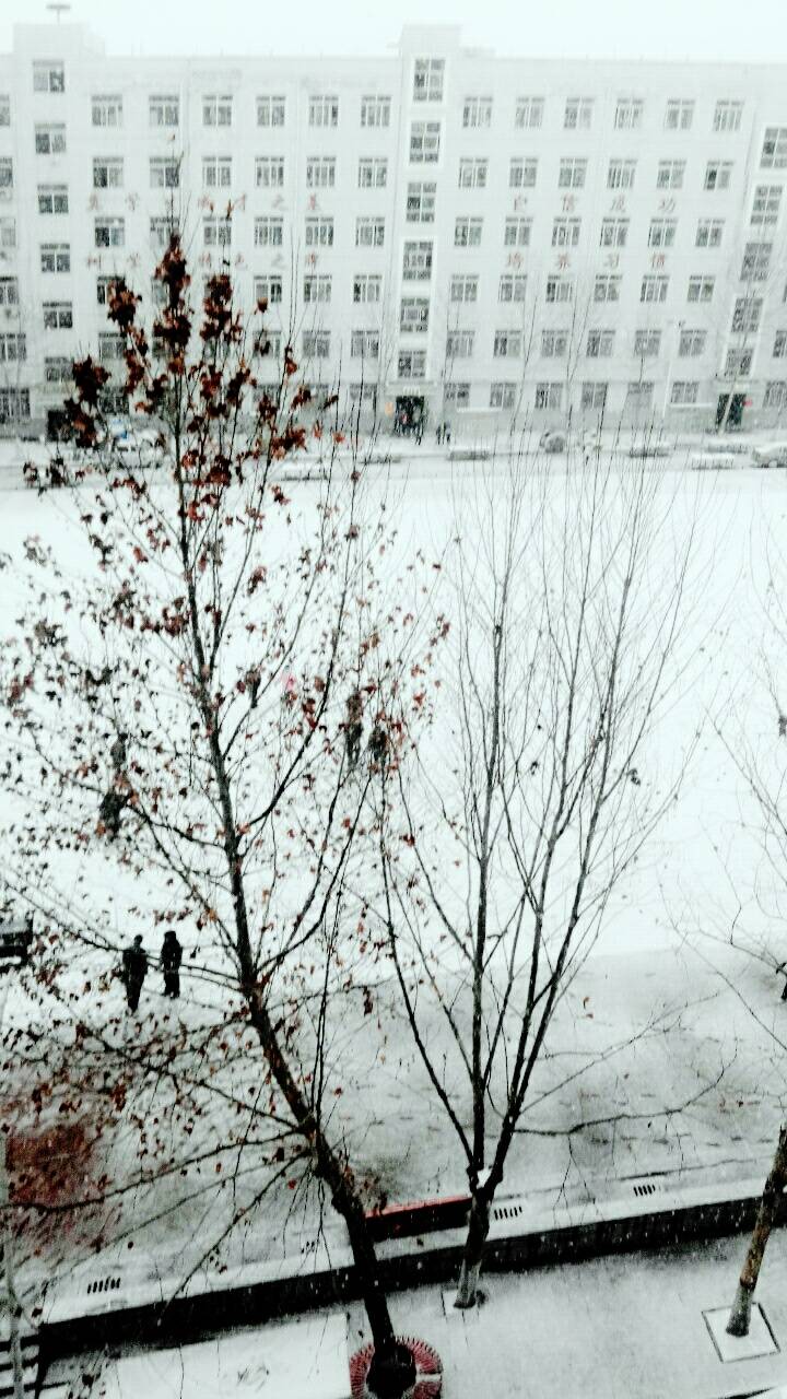 下了雪的学校，那场雪母上说是时隔27年的一场大雪，唉，可惜那时候没手机，只能借别人的。。qwq。。