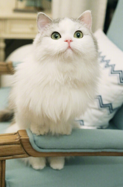 馒头