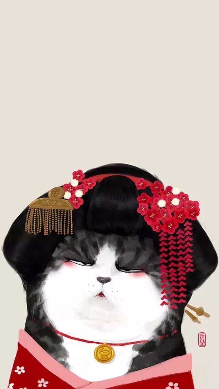 猫猫壁纸