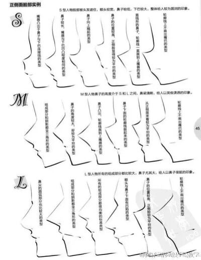 绘画。各种侧脸。希望有用。