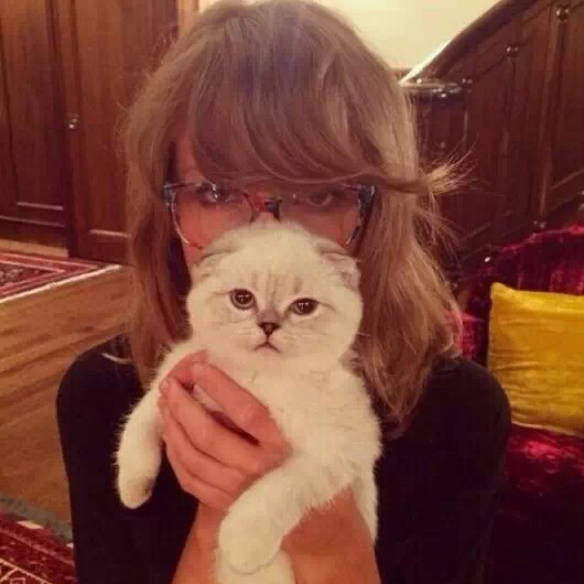 Taylor和猫o(=•ェ•=)m