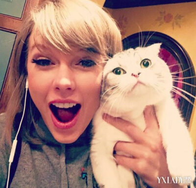 Taylor和猫o(=•ェ•=)m