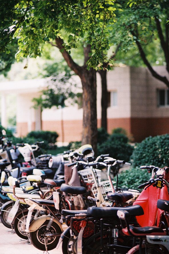 夏日的胶片拾光
Nikon F100 AF85/1.8D
FUJIFILM C200