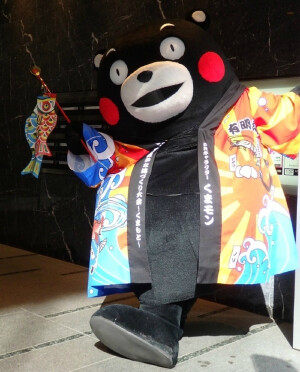 锦鲤熊