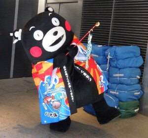 锦鲤熊