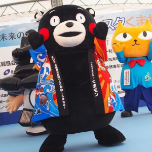 锦鲤熊