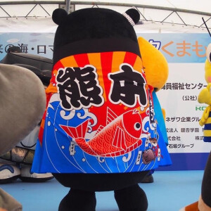 锦鲤熊