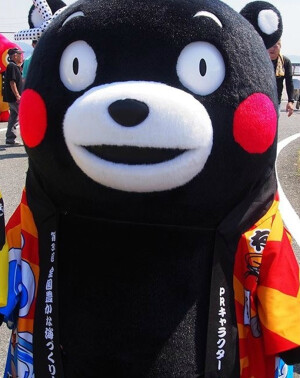 锦鲤熊