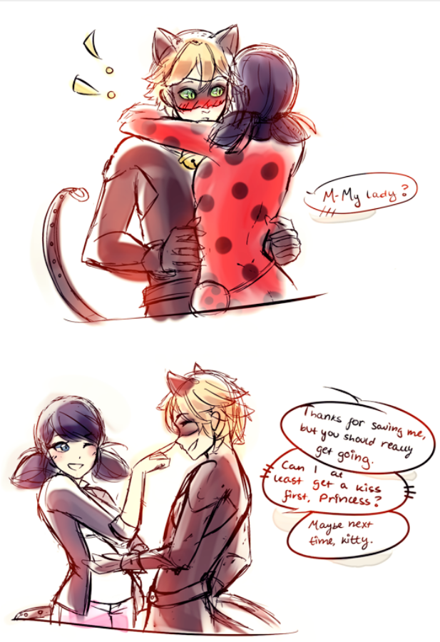 Miraculous Ladybug，瓢虫少女，瓢虫雷迪，玛丽娜，黑猫诺儿 ——knowyourmeme