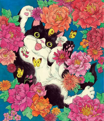 花猫