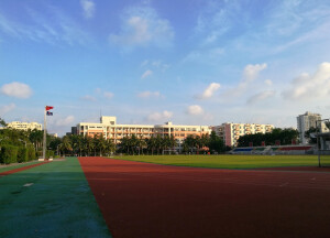 学校