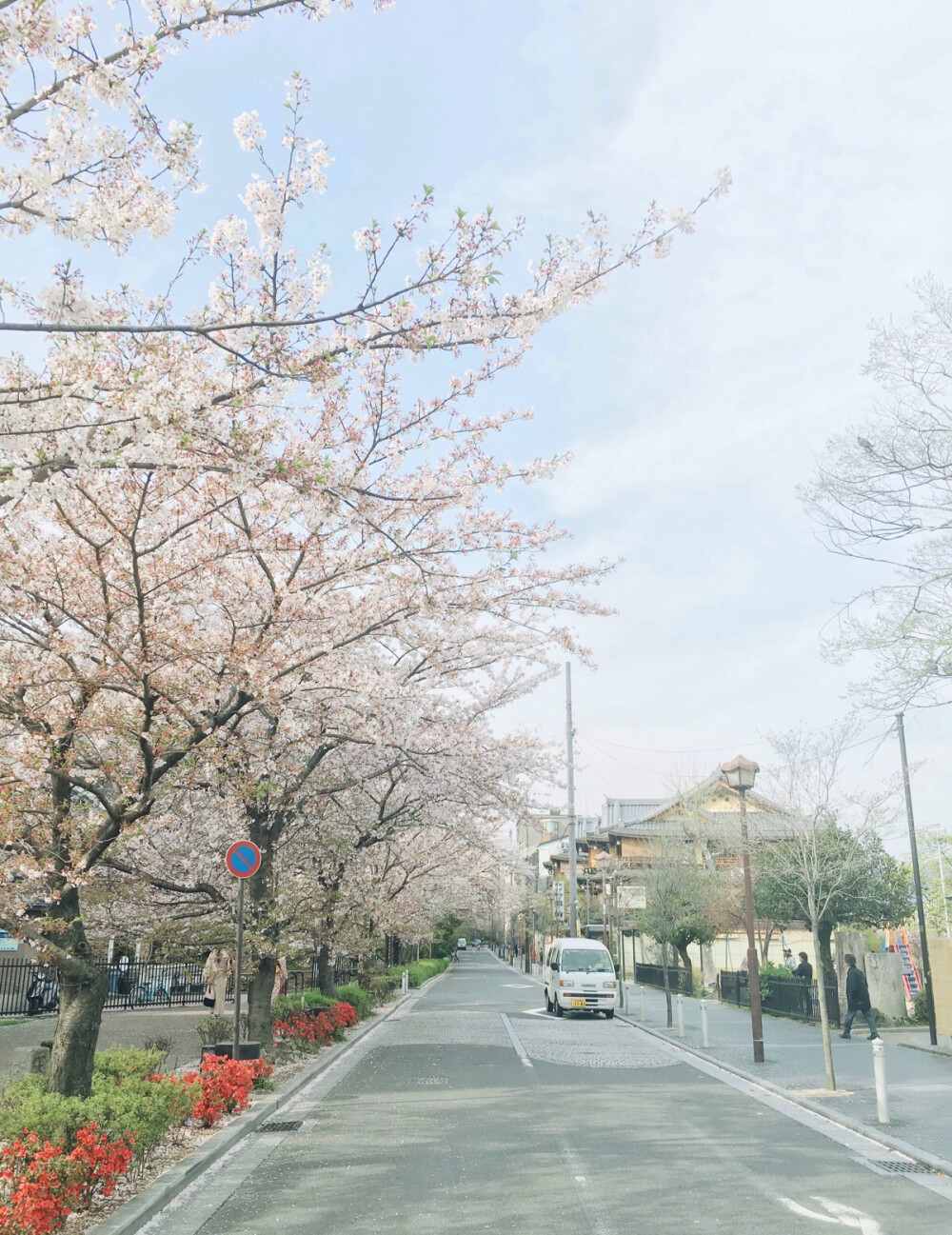 花，飘香四海