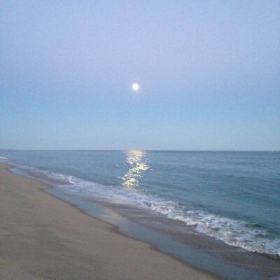 qq/微信/背景壁纸