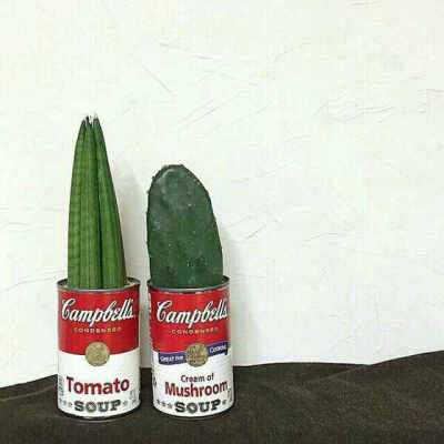 qq/微信/背景壁纸