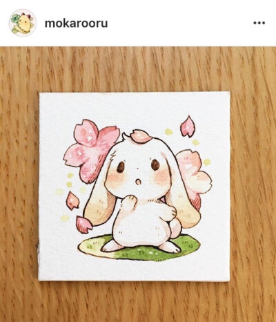 一组萌萌哒小兔砸。萌到心都化了～ ​​​​