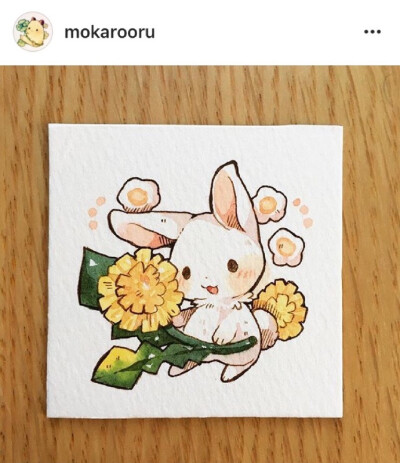 一组萌萌哒小兔砸。萌到心都化了～ ​​​​