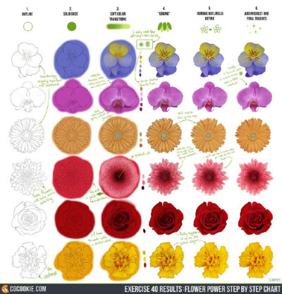 畫師 CGCookie 的有關(guān)花花兒、水果、手、爪子、寶石、糖果等教程分享~