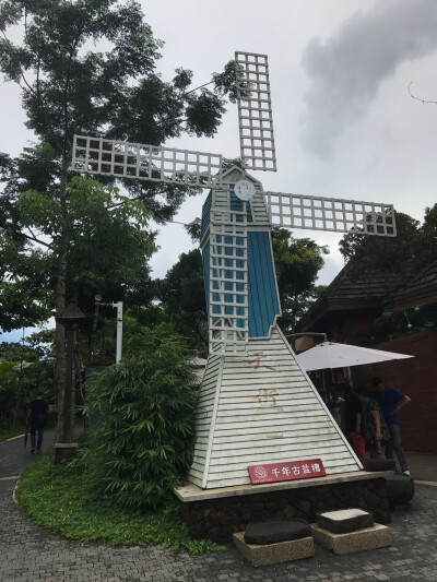 热带雨林公园大风车