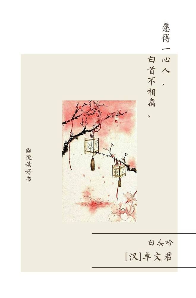 愿得一人心白首不相离