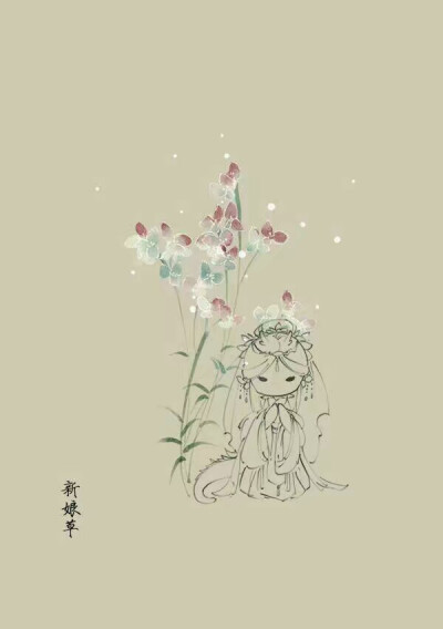 手绘 小人物 植物 明信片 素材 新娘草