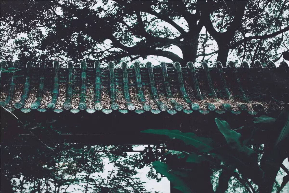 山路元無(wú)雨 空翠濕人衣