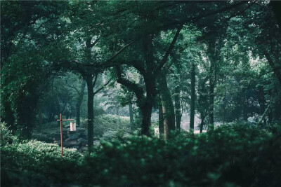 山路元無雨 空翠濕人衣