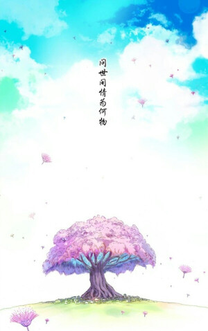 狐妖小红娘 苦情树 相思树