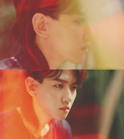 #边伯贤##BAEKHYUN# EXO THE WAR 壁纸 预告