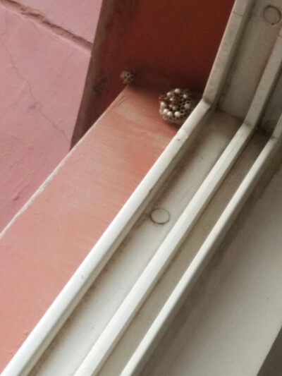 (╯°Д°)╯︵┻━┻