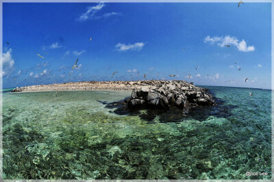 Malaysia Borneo, Sabah, Layang Layang Island
马来西亚婆罗洲 沙巴州属 拉央拉央岛