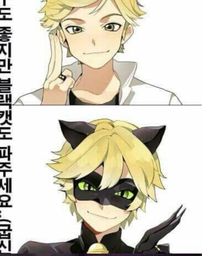 miraculousladybug，瓢虫少女，瓢虫雷迪，黑猫诺儿，——knowyourmeme