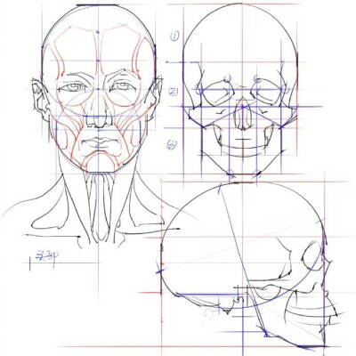 头部画法