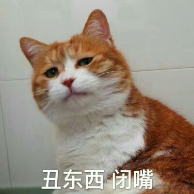 丑东西