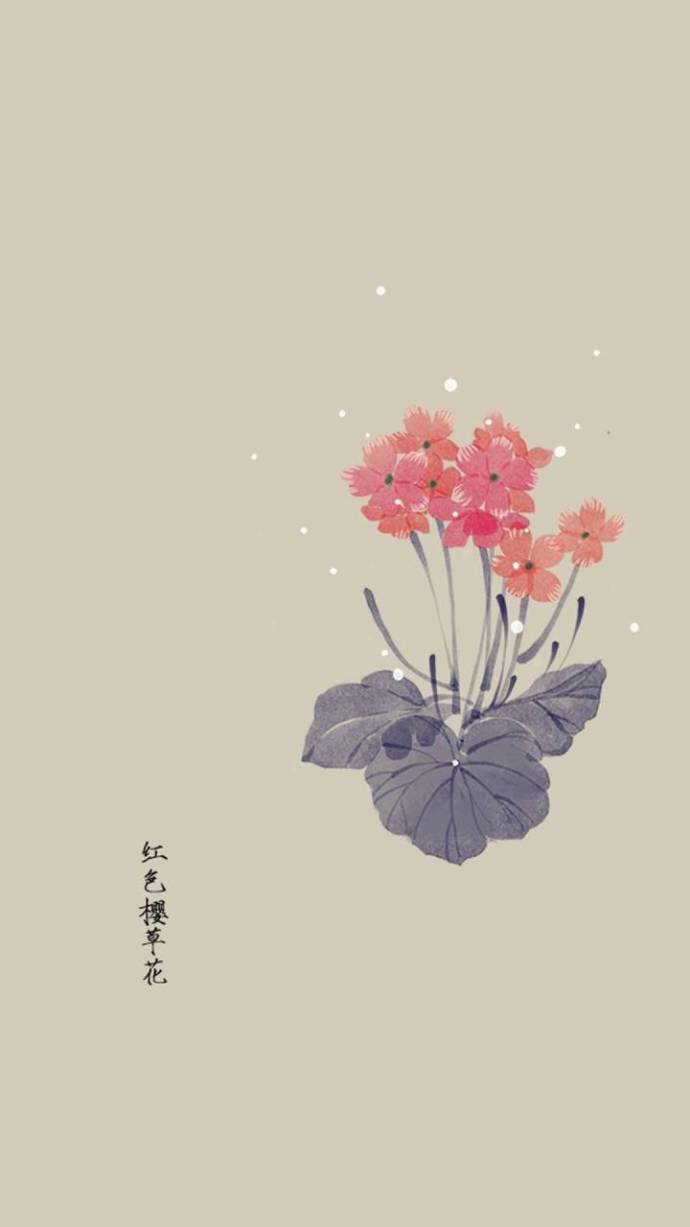 红色樱草花—artistic青尘（古风）