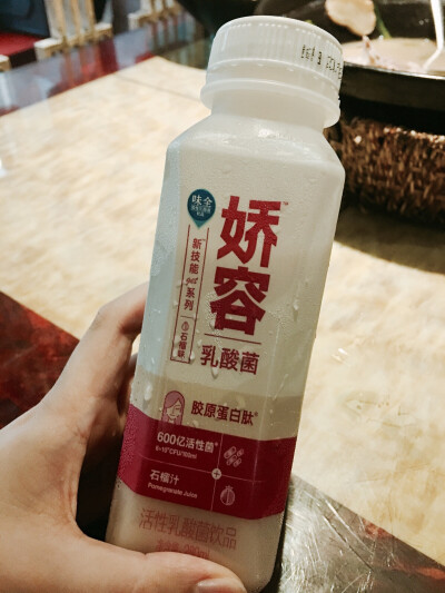 有意思的乳酸菌